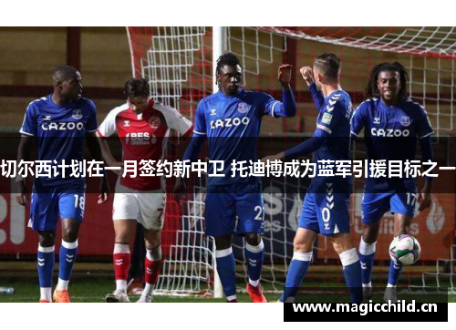 切尔西计划在一月签约新中卫 托迪博成为蓝军引援目标之一