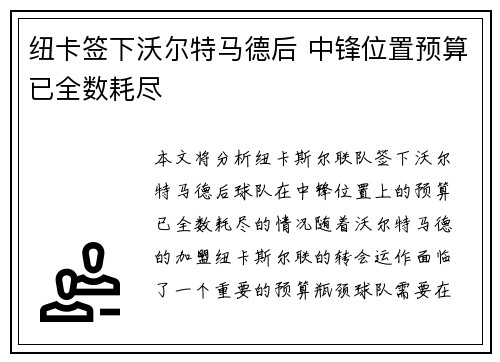 纽卡签下沃尔特马德后 中锋位置预算已全数耗尽